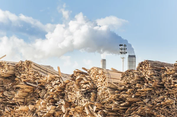 Pali di tronchi e legname in una fabbrica di legname industriale . — Foto Stock