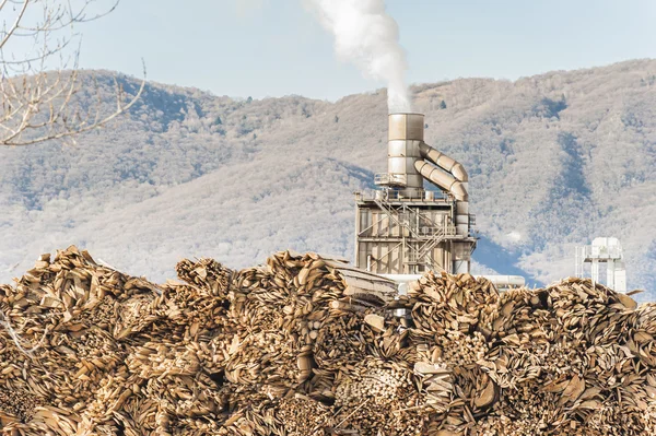 Pali di tronchi e legname in una fabbrica di legname industriale . — Foto Stock