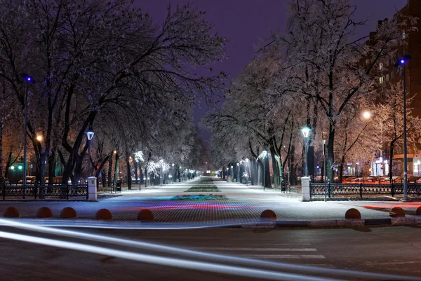 Bílý nadýchaný jinovatka zahrnuty stromy v Nižném Novgorodu — Stock fotografie