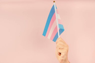 Transeksüel gurur renginde el ele tutuşan bayrak