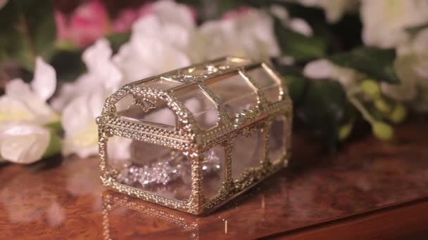 A small treasure chest box with jewelry — Stock Video