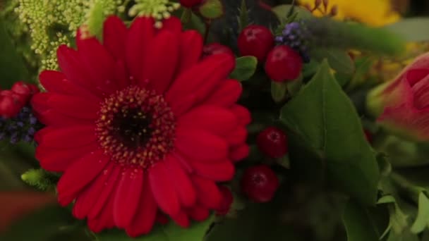 Bouquet of flowers in a vase, flower decorations — Stock Video