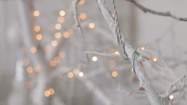 White  decorated branches with christmas lights, close up — Stock Video