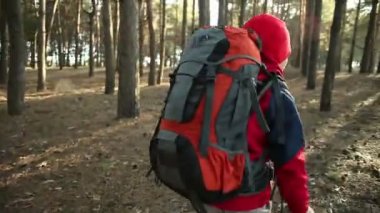 Çocuk dağ patikalarına, yolları, hiking sırt çantası, yürüyüşçü orman, zevk doğa kamp, Hiking ile maceraya yürüme