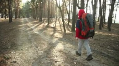 Çocuk dağ patikalarına, yolları, hiking sırt çantası, yürüyüşçü orman, zevk doğa kamp, Hiking ile maceraya yürüme