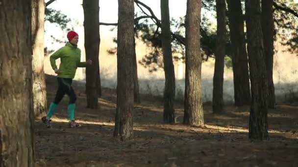 Donna che corre sulla pista forestale in una giornata di sole, vista laterale — Video Stock