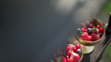 Vahşi berry hidef ağır çekim intro güzel daireler. Rustik tarzı