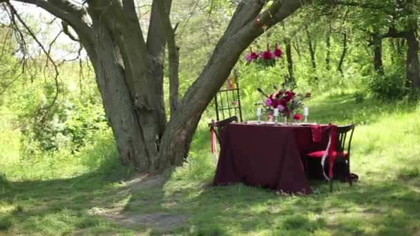 Bruiloft tabel decor op aard op een zonnige dag — Stockvideo
