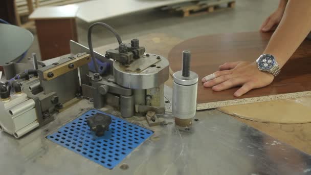 Línea para encolar madera y madera en la carpintería. Trabajador de la madera poniendo la plancha en la máquina de carpintería . — Vídeo de stock