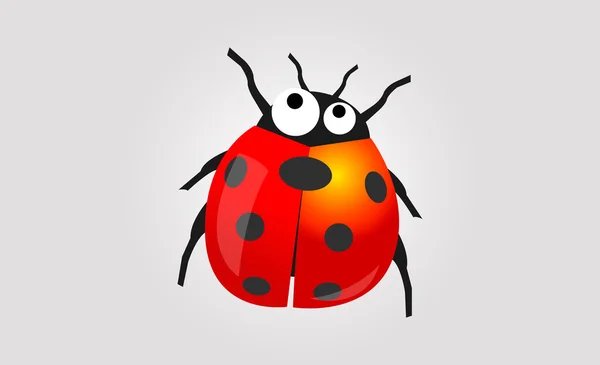 30,000+ Ladybug Stock Illustrations, Royalty-Free Vector Graphics & Clip  Art - iStock