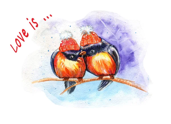 Akvarellkort med två förälskade fåglar på en gren — Stockfoto
