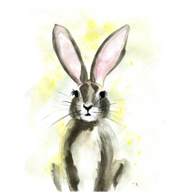 Beyaz arkaplanda el yapımı bir tavşanın suluboya çizimi.