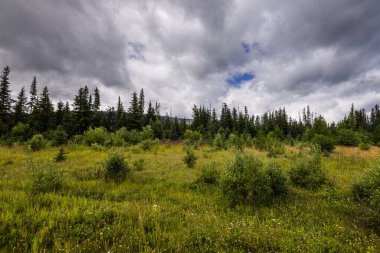 Banff Ulusal Parkı 'nın güzel doğal manzarası, Alberta, Kanada