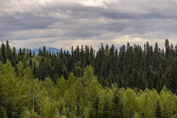 Όμορφη Φυσική Θέα Banff Εθνικό Πάρκο Αλμπέρτα Καναδάς — Φωτογραφία Αρχείου