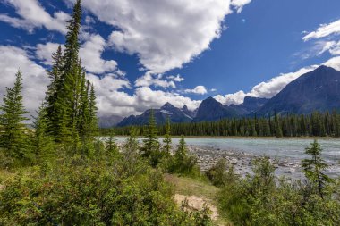 Banff Ulusal Parkı, Alberta, Kanada 'da dağ nehri manzaralı görkemli bir doğal manzara.