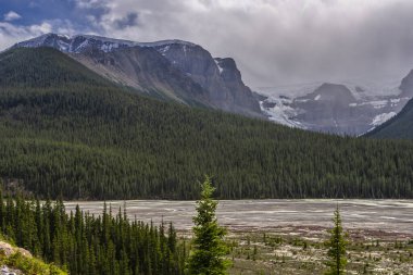 Banff Ulusal Parkı, Alberta, Kanada 'da dağ nehri manzaralı görkemli bir doğal manzara.