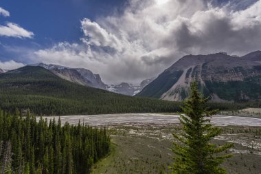 Banff Ulusal Parkı, Alberta, Kanada 'da dağ nehri manzaralı görkemli bir doğal manzara.