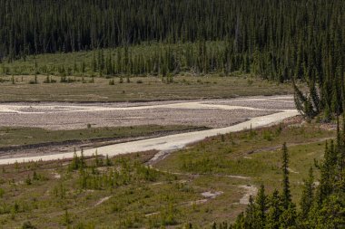 Banff Ulusal Parkı, Alberta, Kanada 'da dağ nehri manzaralı görkemli bir doğal manzara.