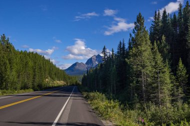 Banff Ulusal Parkı, Alberta, Kanada 'daki görkemli dağlar ve otoyol