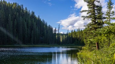 Banff Ulusal Parkı, Alberta, Kanada 'da dağ nehri manzaralı görkemli bir doğal manzara.