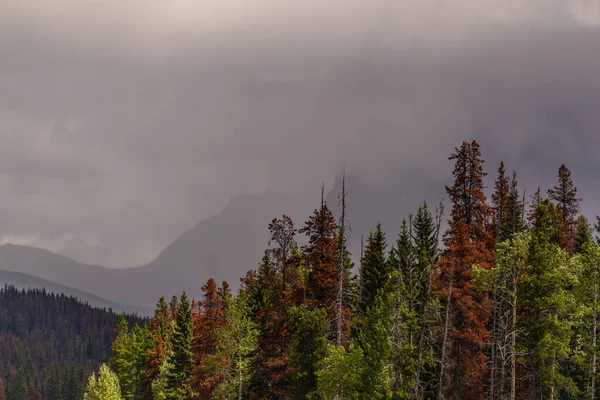 Όμορφη Φυσική Θέα Banff Εθνικό Πάρκο Αλμπέρτα Καναδάς — Φωτογραφία Αρχείου