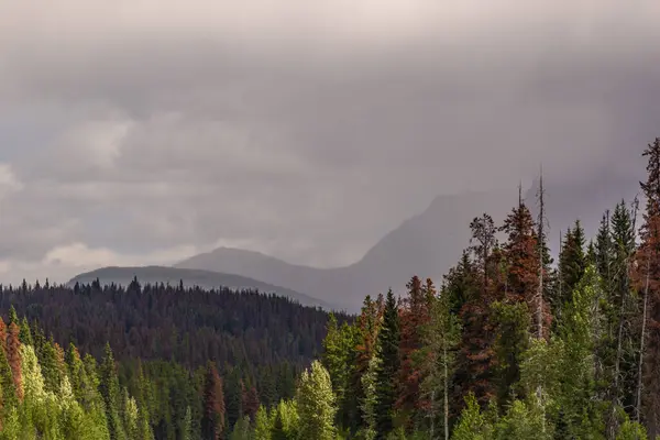 Όμορφη Φυσική Θέα Banff Εθνικό Πάρκο Αλμπέρτα Καναδάς — Φωτογραφία Αρχείου