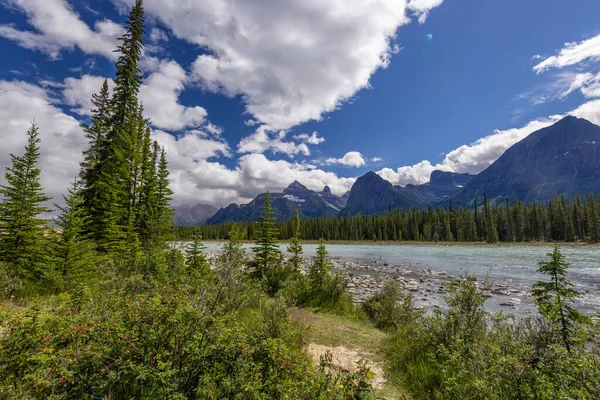Fenséges Természeti Táj Hegyi Folyóval Banff Nemzeti Parkban Alberta Kanada — Stock Fotó