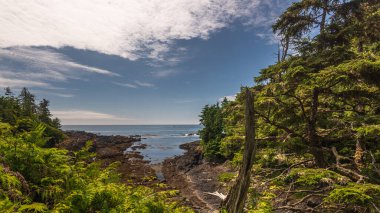 Manzaralı deniz manzarası ve deniz manzarası