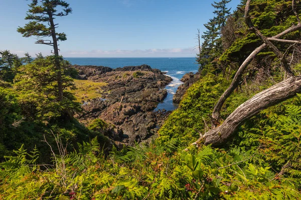 Vue Naturelle Panoramique Sur Magnifique Paysage Marin Côte Mer — Photo