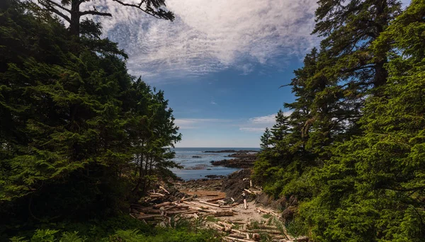 Landschaftlich Reizvoller Natürlicher Blick Auf Das Meer Und Die Küste — Stockfoto