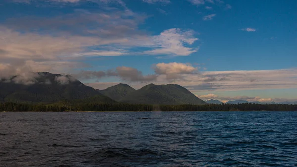 Bela Paisagem Natural Pacífica Colúmbia Britânica Canadá — Fotografia de Stock