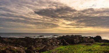 Okyanus ve Wild Pacific Trail, Britanya Kolombiyası, Kanada 'nın inanılmaz doğal manzarası.