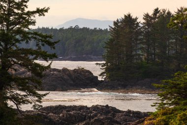 Okyanus ve Wild Pacific Trail, Britanya Kolombiyası, Kanada 'nın inanılmaz doğal manzarası.
