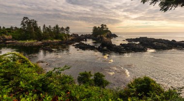 Okyanus ve Wild Pacific Trail, Britanya Kolombiyası, Kanada 'nın inanılmaz doğal manzarası.