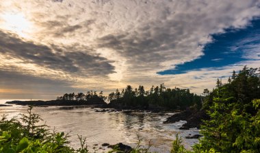 Okyanus ve Wild Pacific Trail, Britanya Kolombiyası, Kanada 'nın inanılmaz doğal manzarası.