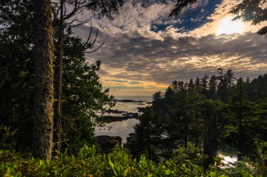 amazing natural scenery with ocean and Wild Pacific Trail, british columbia, Canada clipart