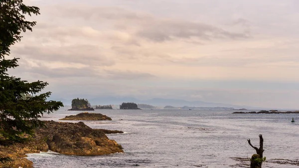 Fantastisk Natur Med Hav Och Wild Pacific Trail Brittisk Columbia — Stockfoto