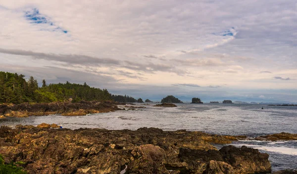 Okyanus Wild Pacific Trail Britanya Kolombiyası Kanada Nın Inanılmaz Doğal — Stok fotoğraf