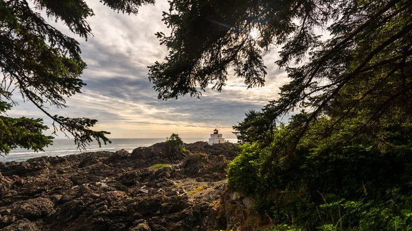 Tofino 'daki doğa manzarası, Britanya Kolombiyası, Kanada