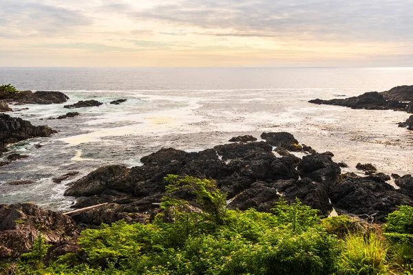 Atemberaubende Naturlandschaft Mit Meer Und Wild Pacific Trail Britische Kolumbia — Stockfoto