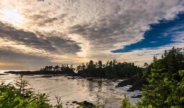 Niesamowite Naturalne Krajobrazy Oceanem Szlakiem Dzikiego Pacyfiku Kolumbia Brytyjska Kanada — Zdjęcie stockowe