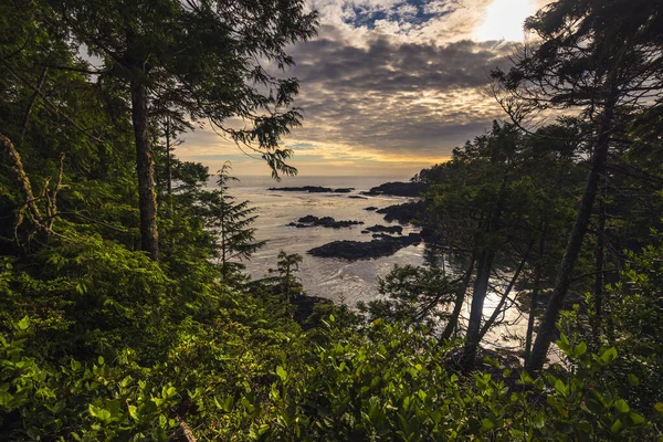 Stupefacente Scenario Naturale Con Oceano Selvaggio Pacific Trail Columbia Britannica — Foto Stock