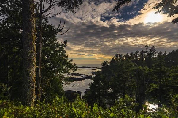 Stupefacente Scenario Naturale Con Oceano Selvaggio Pacific Trail Columbia Britannica — Foto Stock