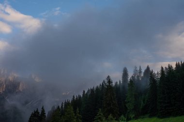 Alplerin güzel manzarası, Passo San Pellegrino, Kuzey İtalya