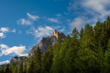 Alplerin güzel manzarası, Passo San Pellegrino, Kuzey İtalya