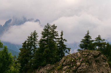 Alplerin güzel manzarası, Passo San Pellegrino, Kuzey İtalya