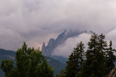 Alplerin güzel manzarası, Passo San Pellegrino, Kuzey İtalya