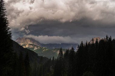 Alplerin güzel manzarası, Passo San Pellegrino, Kuzey İtalya