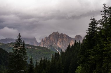 Alplerin güzel manzarası, Passo San Pellegrino, Kuzey İtalya