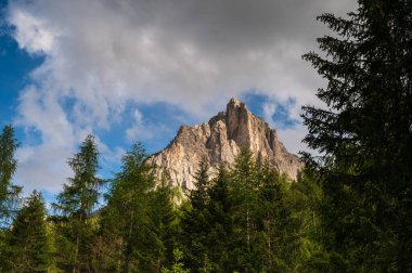 Alplerin güzel manzarası, Passo San Pellegrino, Kuzey İtalya